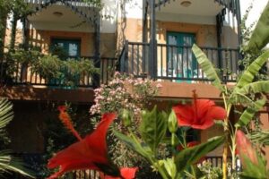 Jasmin Beach (Gümbet)