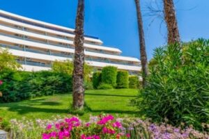 The Grand Blue Sky International