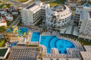 Seashell Vega (Ex. Crown Sunshine)