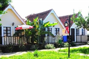 Clover Magic Nova Beach